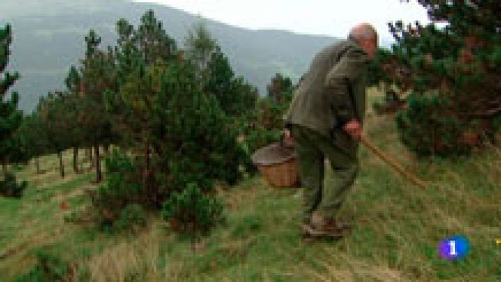 L'Informatiu - L'Informatiu 2 - 15/09/2015