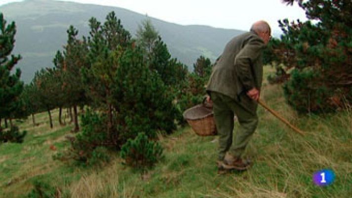 L'Informatiu - L'Informatiu 2 - 15/09/2015