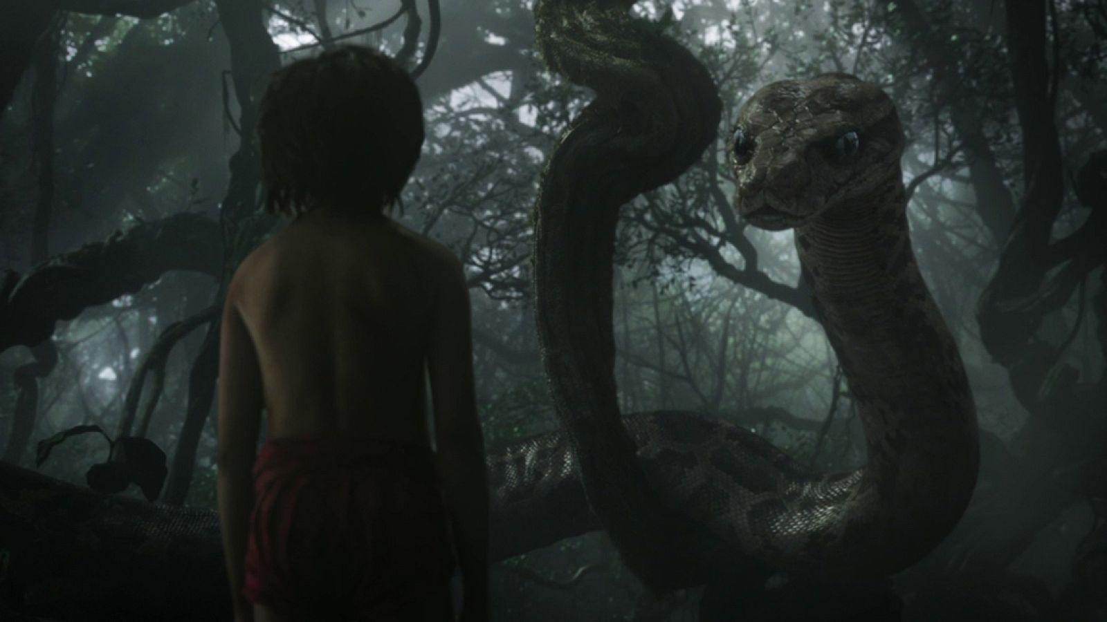 Primer tráiler de 'El libro de la selva'