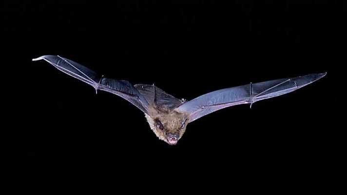 Documenta2 - El universo invisible: Momentos mágicos