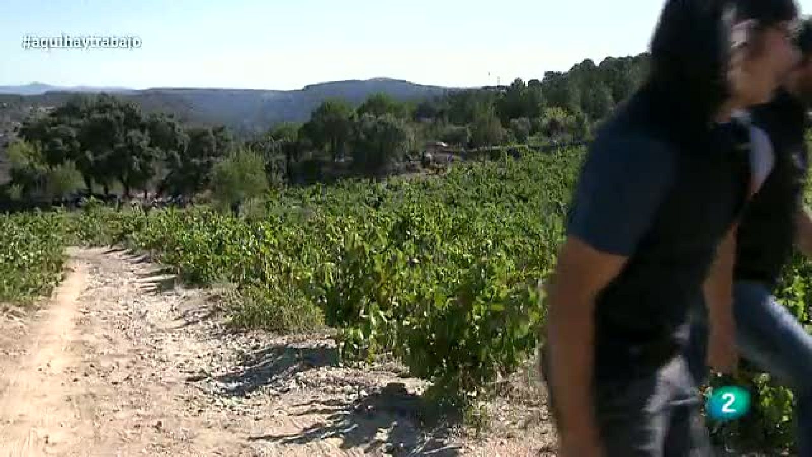 Vino azul, vino antiguo, vino chino - Aquí hay trabajo | Ver