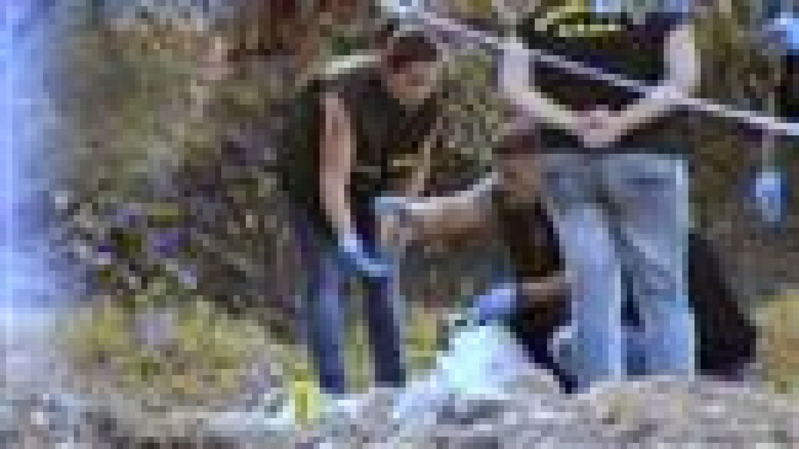 Canarias en 2 '- 17/09/2015