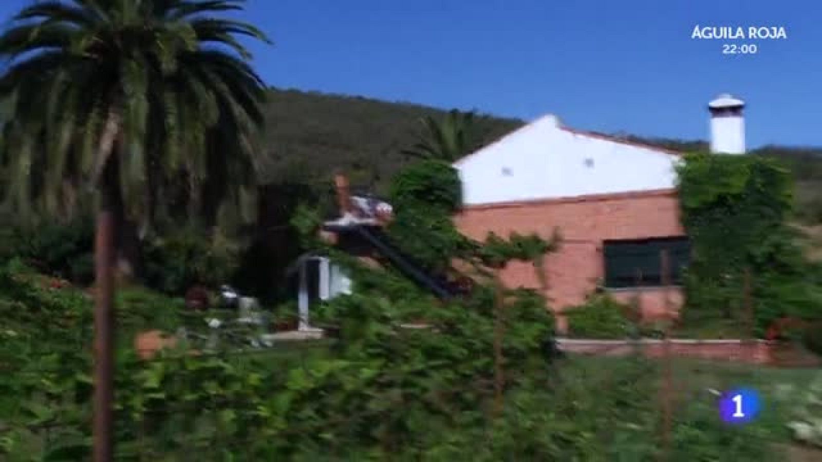 ¿Cómo funciona una cocina solar?