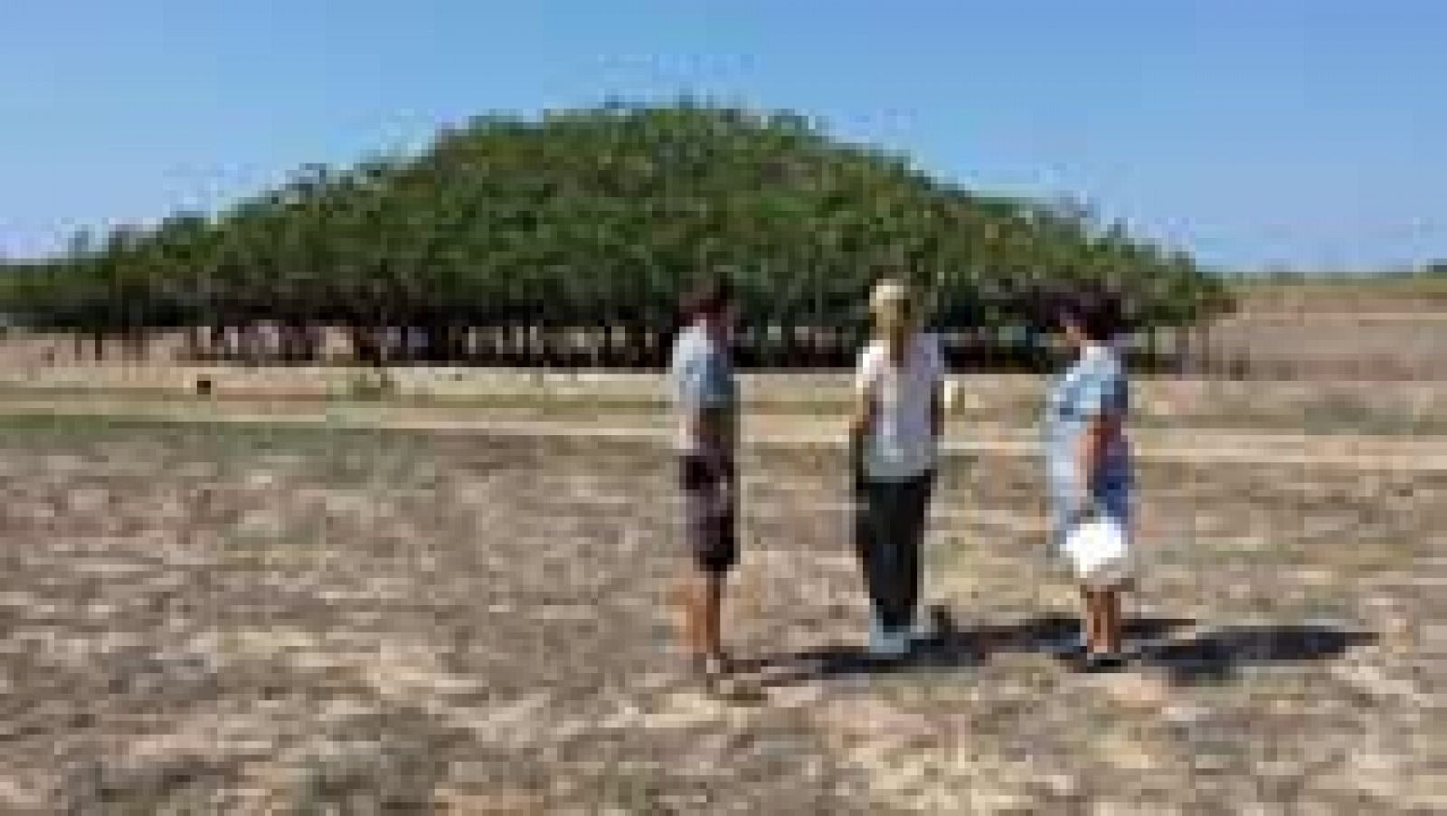 Aquí la Tierra: Los mejores higos de Formentera | RTVE Play
