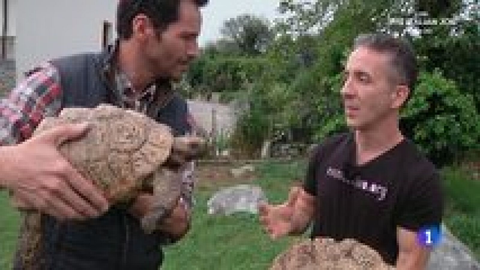 Aquí la Tierra - 18/09/15 - ver ahora