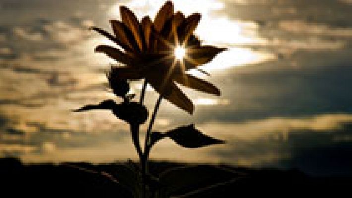 El tiempo - Despejado y temperaturas en ascenso en la mayor parte del país