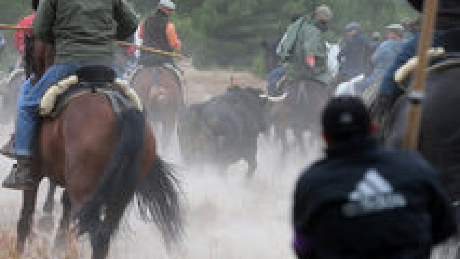 Informe Semanal - El toro de la Vega - Ver ahora