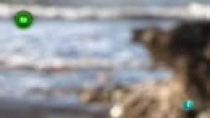 Agrosfera - Agrosfera - En Clave Rural - Menorca