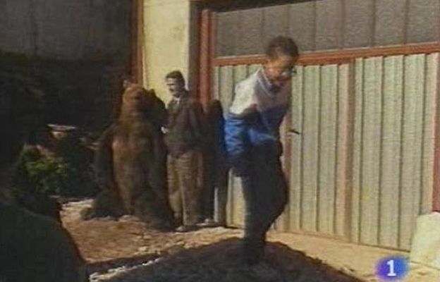 ¿Te acuerdas? - Muerte último oso del Cantábrico