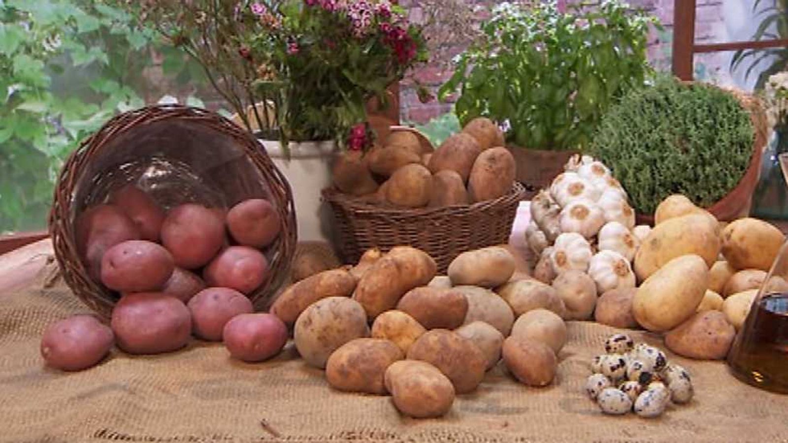 Torres en la cocina - Patatas - Ver ahora