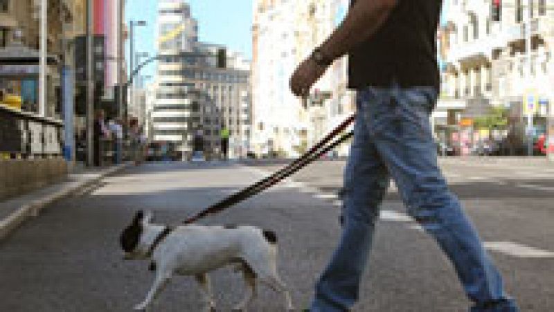 330 municipios españoles se suman al Día Europeo Sin Coches