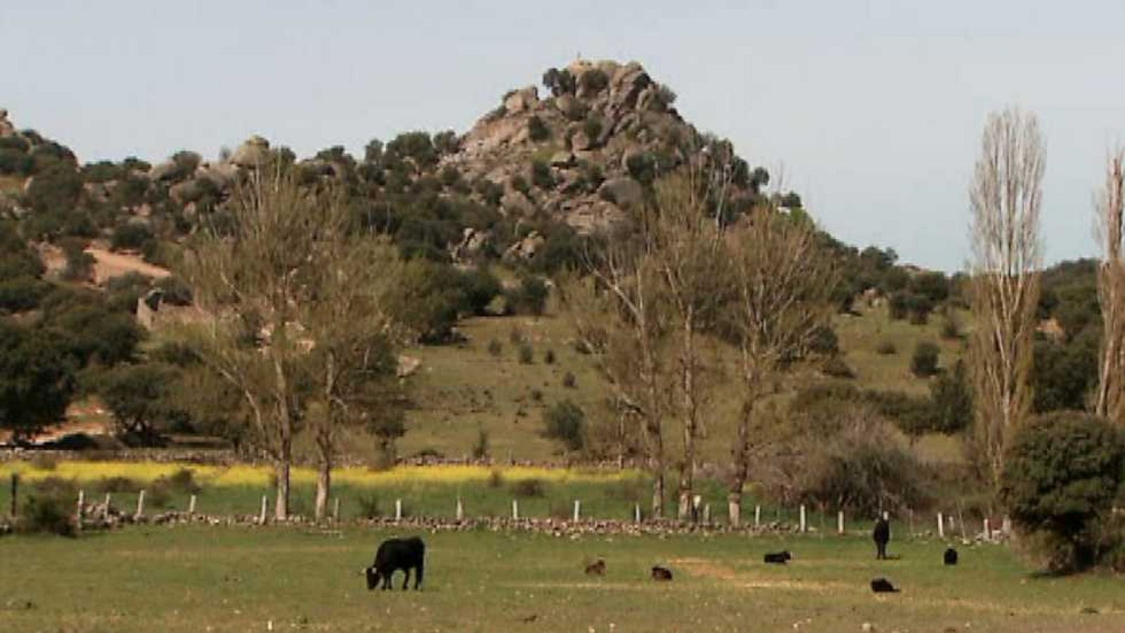 La aventura del saber - 24/09/15 - Ver ahora