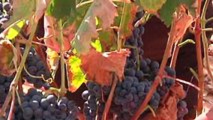 L'informatiu - Comunitat Valenciana - La Comunidad Valenciana en 2' - 24/09/15