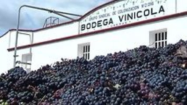 L'informatiu - Comunitat Valenciana - L'Informatiu - Comunitat Valenciana 2 - 24/09/15