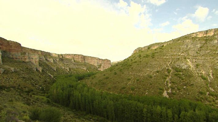 Crónicas - El Refugio