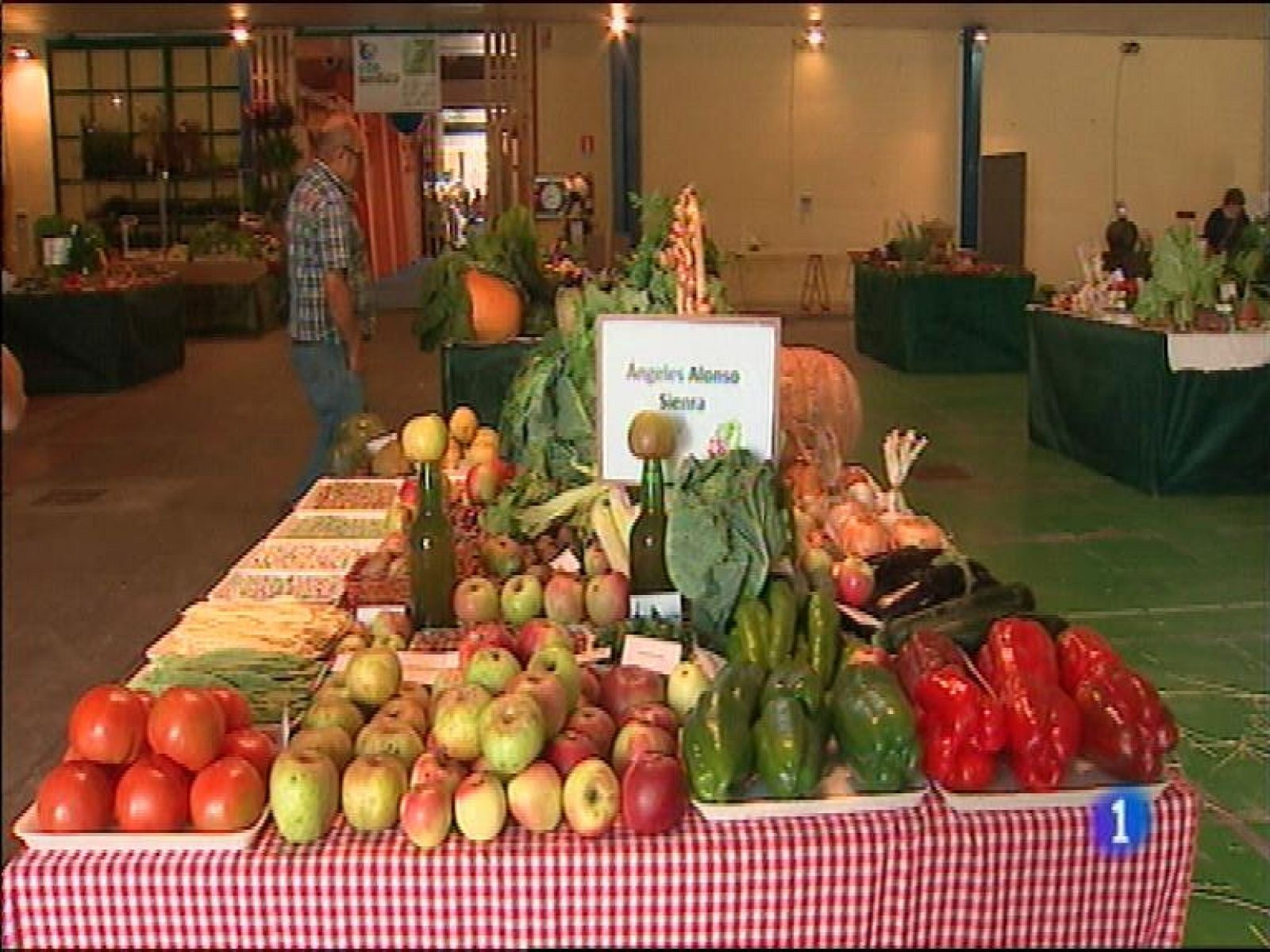 Panorama Regional 2 - 25/09/15 | Ver