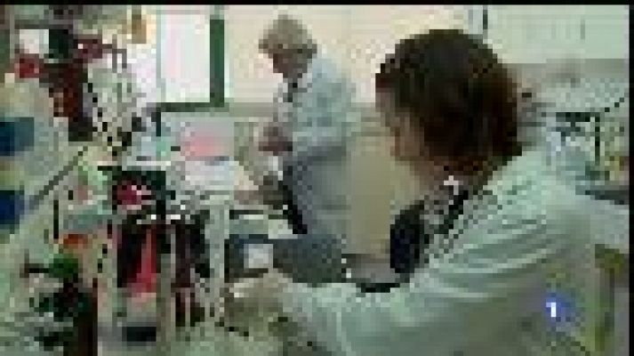 Informatiu Balear - Aliments intel·ligents per combatre l'obesitat