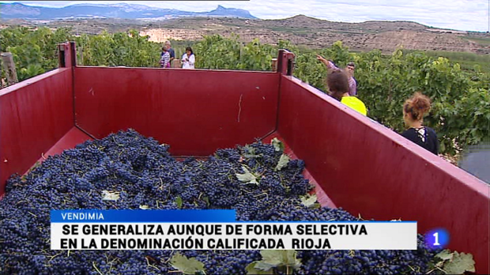 Informativo Telerioja 2 - 25/09/15