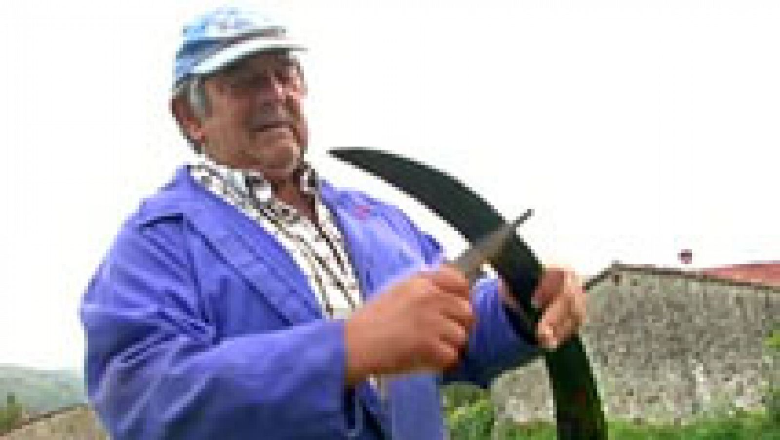 Los saltadores pasiegos, un deporte en vías de extinción 