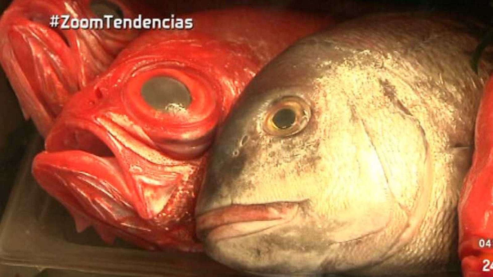 Zoom Tendencias - Las Rias Baixas saben muy bien - ver ahora