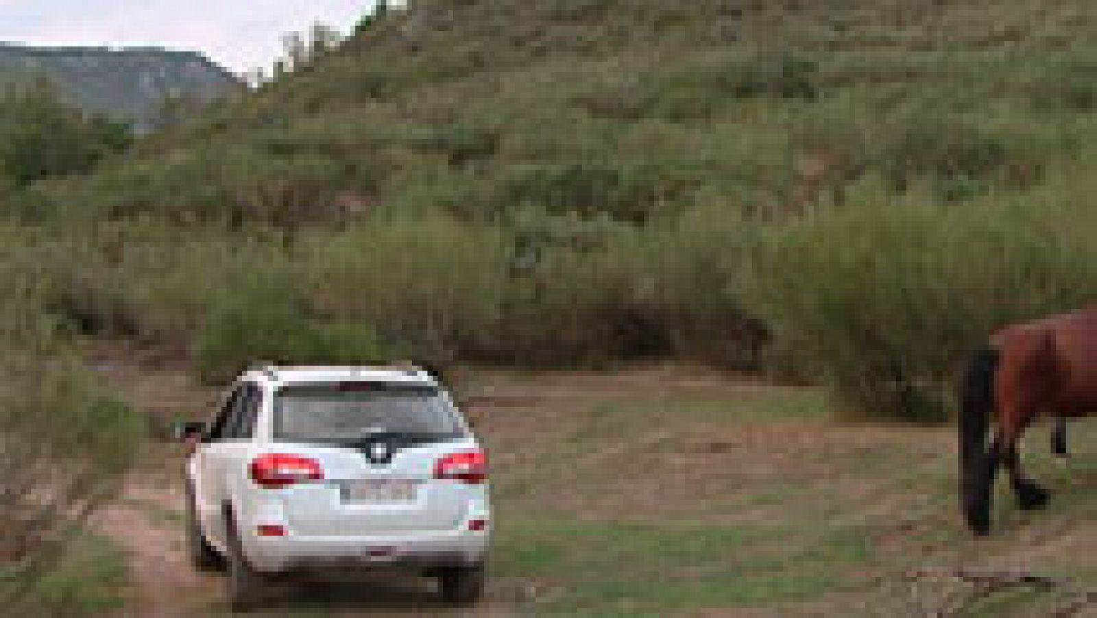 La berrea, un espectáculo de la naturaleza