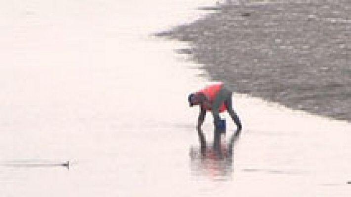 Las mareas vivas animan a los mariscadores en el Cantábrico 