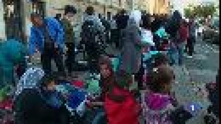 Informatiu Balear - El Col·legi de Psicòlegs s'ofereix per ajudar als refugiats sirians