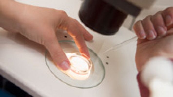 Telediario 1 - 240 mujeres denuncian las secuelas que les ha dejado el uso del anticonceptivo Essure