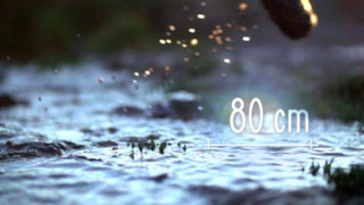 80 cm - 80cm - Cabecera del programa