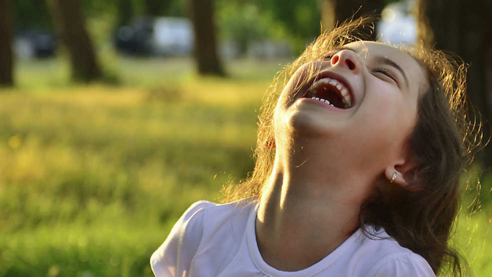 Documenta2 - Una historia natural de la risa - Ver ahora