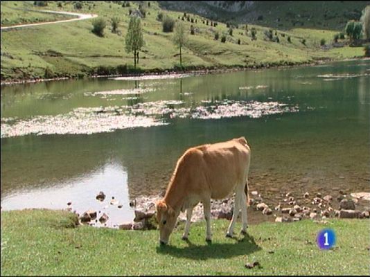 Panorama Regional - Asturias en 2' - 05/10/15