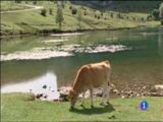 Panorama Regional - Asturias en 2' - 05/10/15