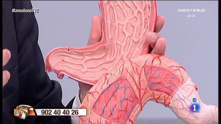 La mañana - Consejos para el dolor de estómago