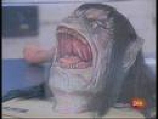  - Terror en San Sebastián