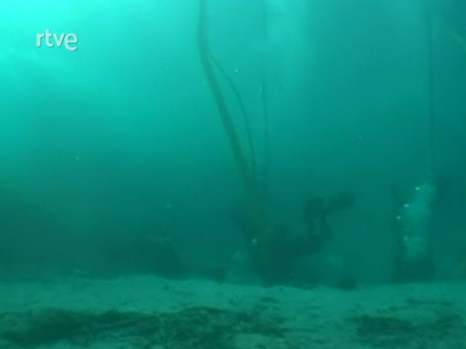 La Aventura del Saber. Serie documental "El túnel del tiempo". El Pecio ibérico de Binissafúller II