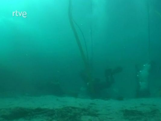 La aventura del Saber - Serie documental "El túnel del tiempo". El Pecio ibérico de