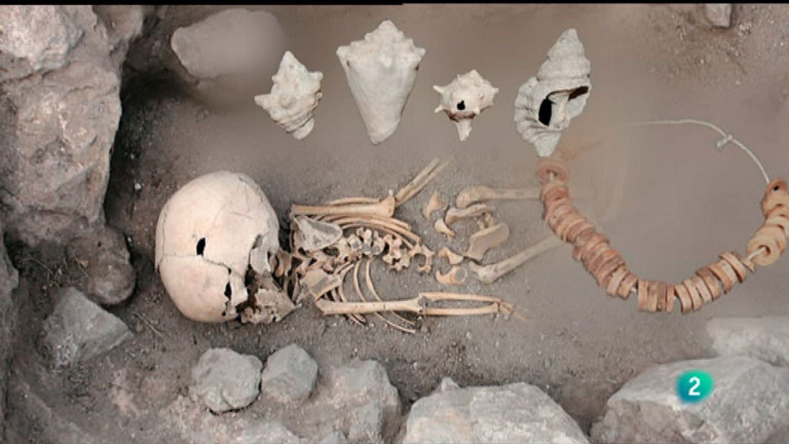 La Aventura del Saber. Serie documental  "El túnel del tiempo". Cabezo Redondo II