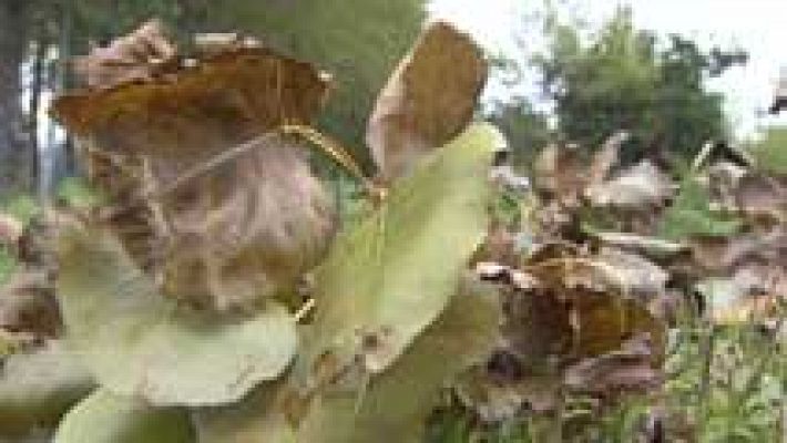 Informativo de Madrid - El Tiempo en la Comunidad de Madrid - 07/10/15