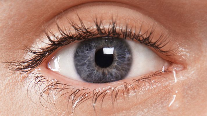 Telediario 1 - Lágrimas vistas al microscopio