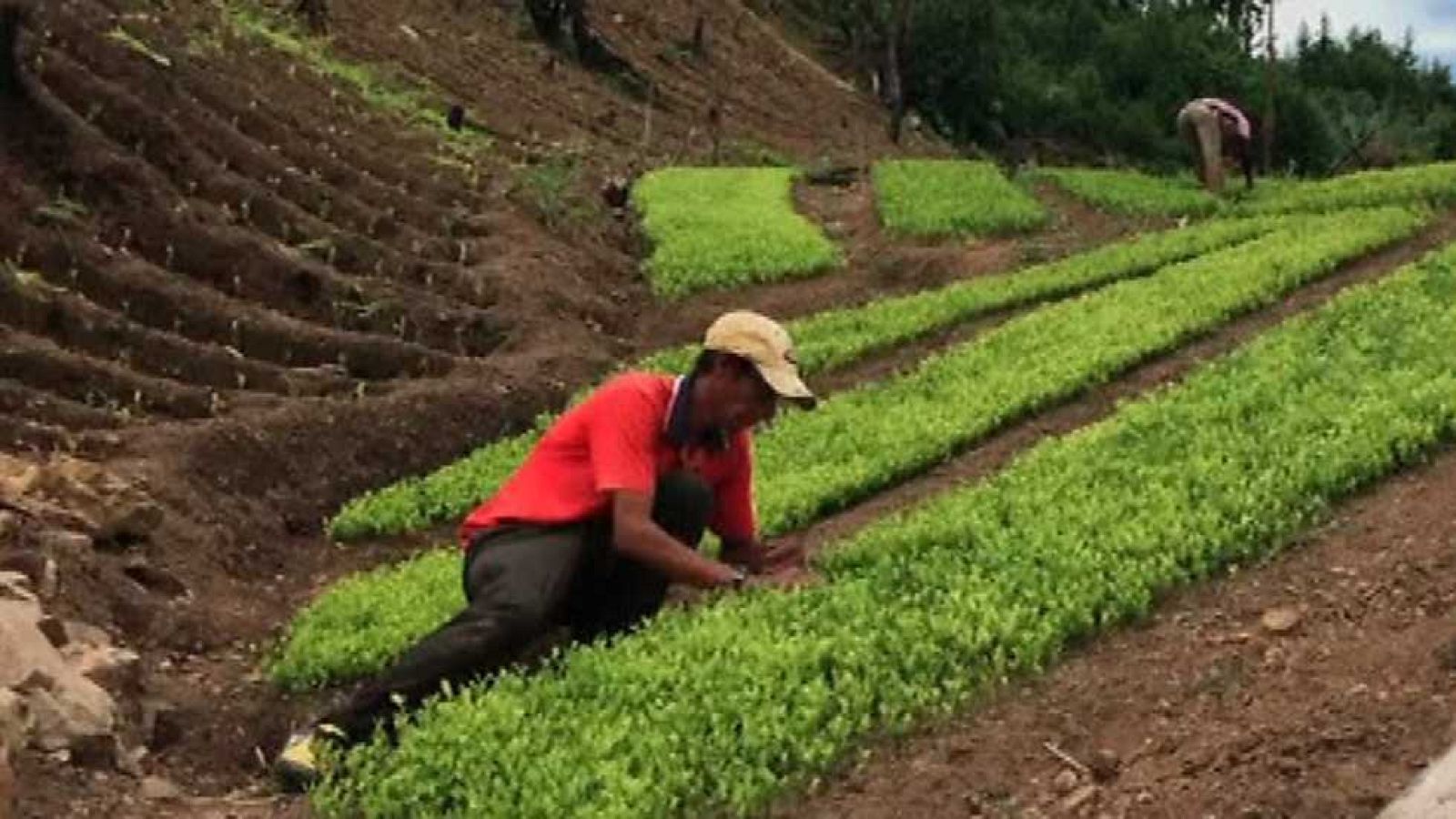 La 2 Noticias - 07/10/15 - Ver ahora