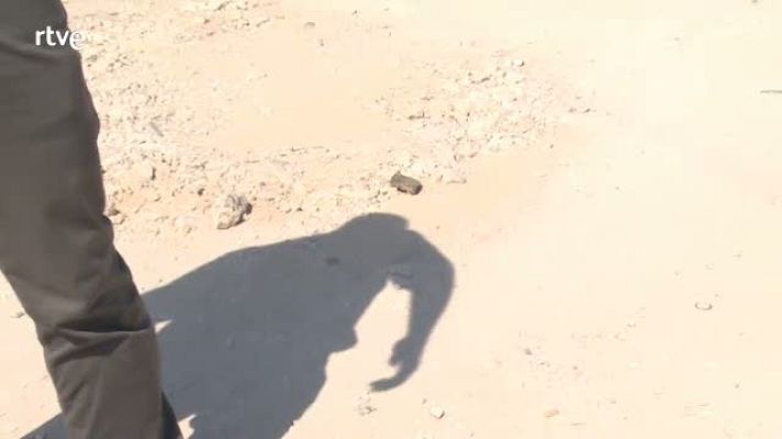 Repor - Del fraude particular hemos pasado a la estafa organizada