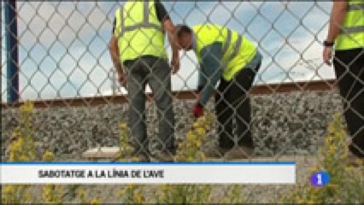 L'Informatiu - L'Informatiu - 08/10/15