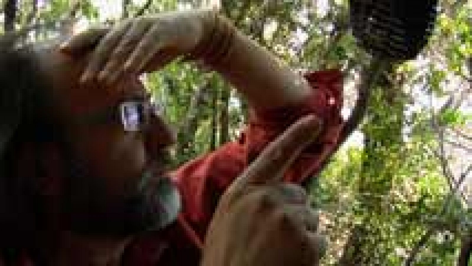 Aquí la Tierra: De aventura naturalista con Luismi Domínguez | RTVE Play