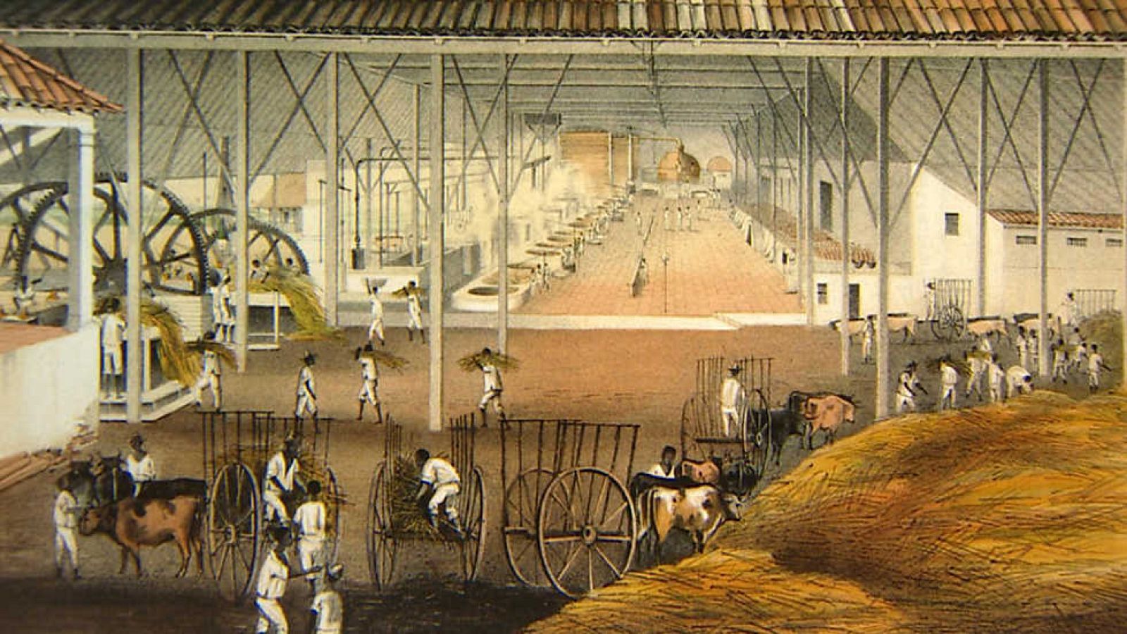 Crónicas - Emigración gallega - ver ahora