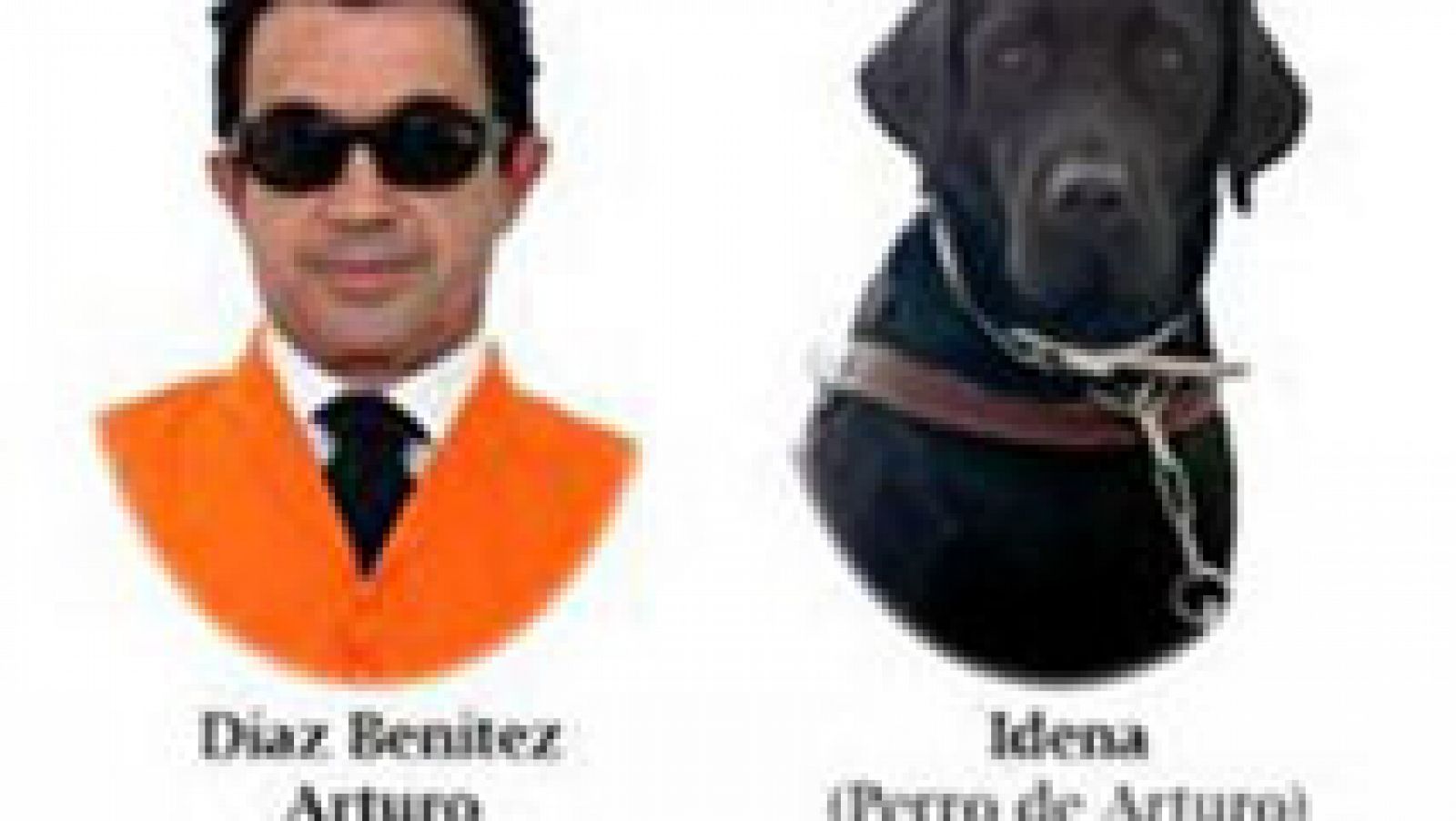 España Directo: Un perro guía se 'gradúa' en la Universidad de Cádiz | RTVE Play