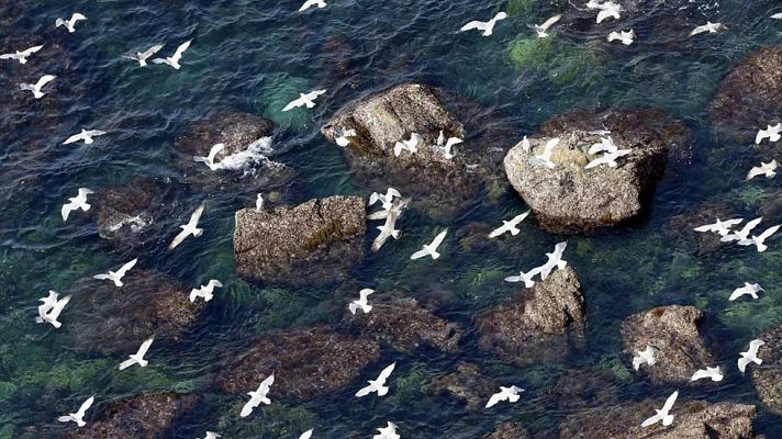 El tiempo - Viento fuerte en Galicia y lluvia en la segunda mitad del día en el oeste peninsular