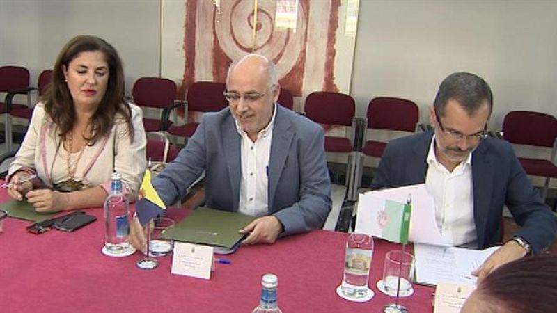 Telecanarias - 11/10/2015