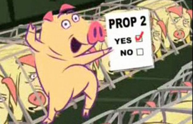 Cámara abierta - Los referendos en EE.UU.