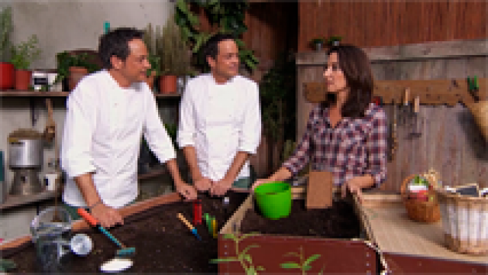 Torres en la cocina - Cómo hacer tu huerto urbano (Capítulo 1)