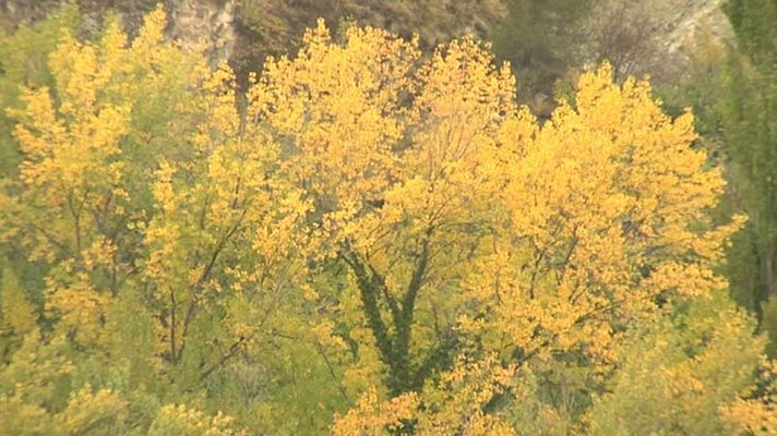 Informativo de Madrid - El Tiempo en la Comunidad de Madrid - 13/10/15